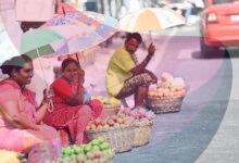 Climate change reshaping disease patterns, straining health systems, finds report