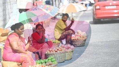 Climate change reshaping disease patterns, straining health systems, finds report