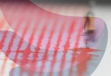 Earthquake tremors felt in several parts of north India