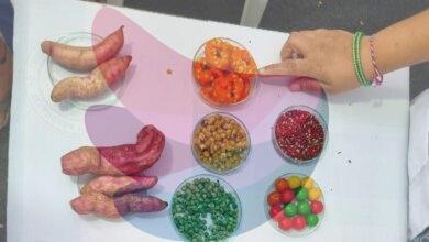 Telangana Food Safety Department demonstrates methods to identify adulterated food