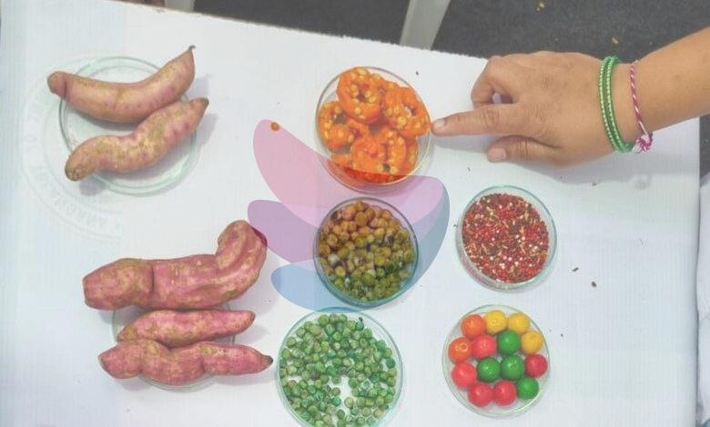 Telangana Food Safety Department demonstrates methods to identify adulterated food