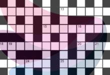 The Hindu Sunday crossword no. 51