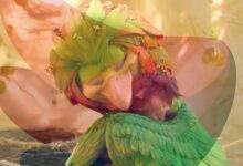 ‘Swapped’ trailer: Michael B. Jordan voices a woodland creature in Netflix’s animated buddy comedy