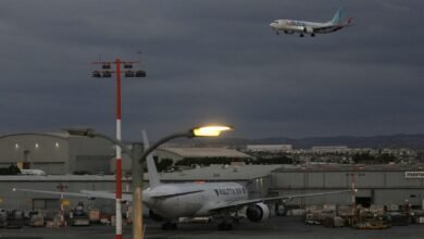 flydubai सह-पायलट ने तेल अवीव हवाई अड्डे पर विमान गिराने की कोशिश की