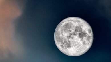 Read why spiritual seekers meditate on a full Moon day.