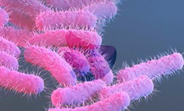 One more shigella death, seven fresh cases reported in Kerala