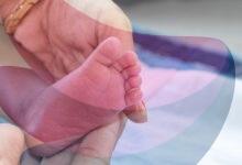 Towards robust civil registration systems — CRS 2024