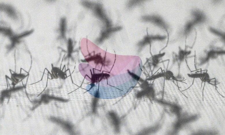 Brazil suspends dengue vaccine following two deaths