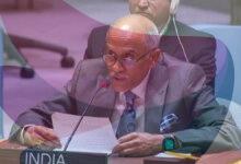 Expanding permanent category with veto critical to real reform of UNSC: India