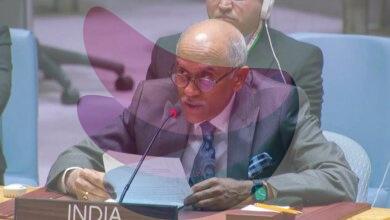 Expanding permanent category with veto critical to real reform of UNSC: India