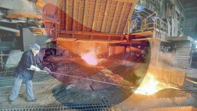 India in final stages of formulating processing value chain for critical minerals: Mines Secretary