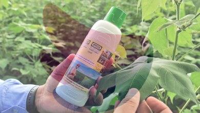 Nano urea and public health: why India must proceed with caution