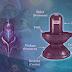 The Origin of the Sivalinga: A Sacred Symbol of Lord Shiva