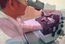 RGCB scientists uncover new mechanism behind malaria parasite’s drug resistance