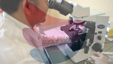 RGCB scientists uncover new mechanism behind malaria parasite’s drug resistance