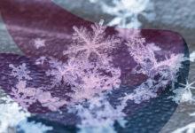 Canadian proverb of the day: 'No snowflake lands the same twice'