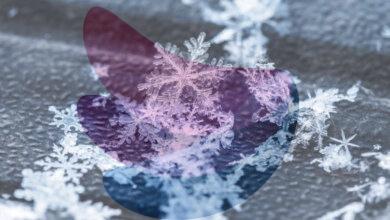 Canadian proverb of the day: 'No snowflake lands the same twice'