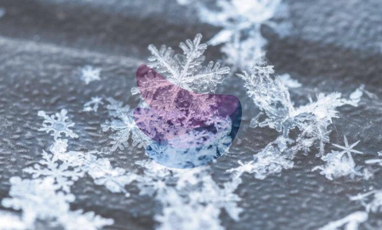 Canadian proverb of the day: 'No snowflake lands the same twice'