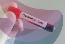 Why is hantavirus drawing global attention? | Explained