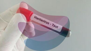 Why is hantavirus drawing global attention? | Explained
