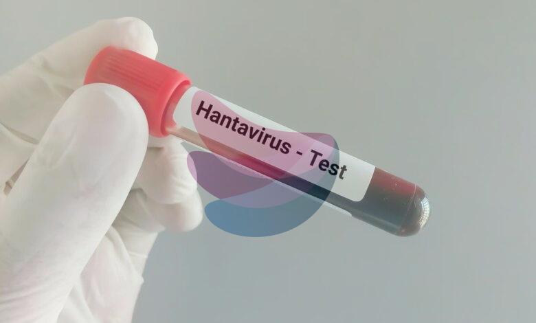 Why is hantavirus drawing global attention? | Explained