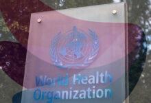 WHO warns of more hantavirus cases in 'limited' outbreak