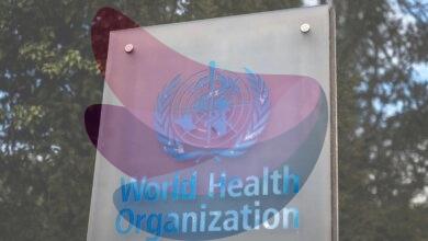WHO warns of more hantavirus cases in 'limited' outbreak