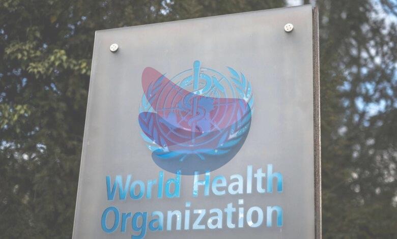 WHO warns of more hantavirus cases in 'limited' outbreak