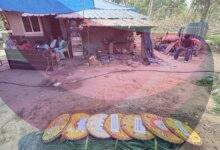 Slithering fear: snakebite incidents trigger panic in Kerala