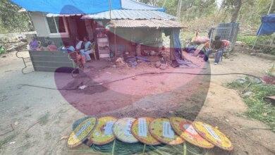 Slithering fear: snakebite incidents trigger panic in Kerala