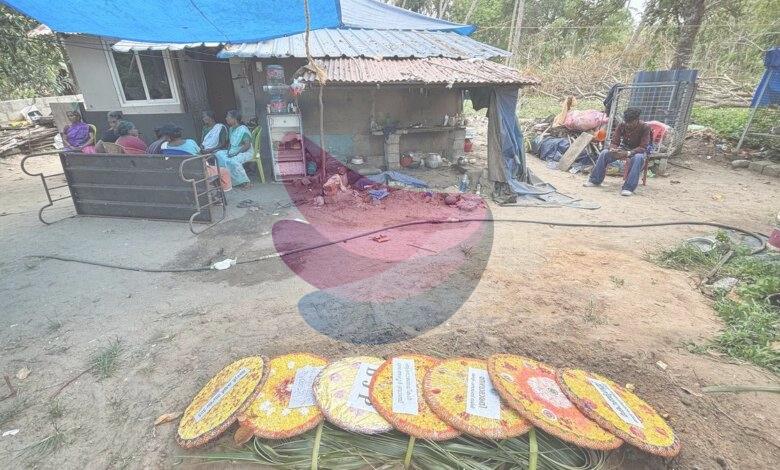 Slithering fear: snakebite incidents trigger panic in Kerala