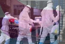 Nipah virus: Here’s what you need to know
