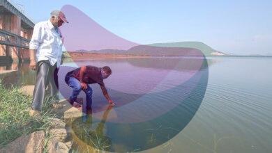 Wastewater data revealed hidden COVID surges in Bengaluru after testing declined