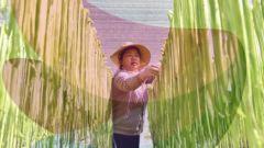 China should stop hoarding food and fertiliser, says former World Bank chief