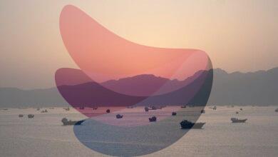 DGS withdraws restriction on the movement of Indian ships in the Strait of Hormuz
