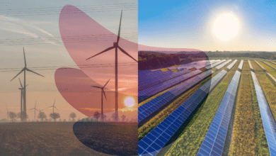 China plans a giant overseas renewable energy plant with 1,000 turbines and millions of solar panels