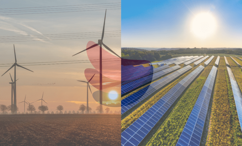 China plans a giant overseas renewable energy plant with 1,000 turbines and millions of solar panels