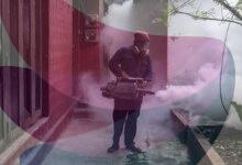Why is Sri Lanka’s dengue outbreak straining its public health sector? | Explained