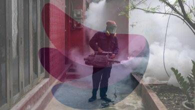 Why is Sri Lanka’s dengue outbreak straining its public health sector? | Explained