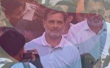 तमिलनाडु: जोसेफ़ विजय के शपथ ग्रहण समारोह में पहुंचे राहुल गांधी, सिनेमा जगत से आईं ये हस्तियां
