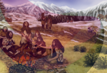 Neanderthals’ brains did not cause their extinction; new study points to surprising factors