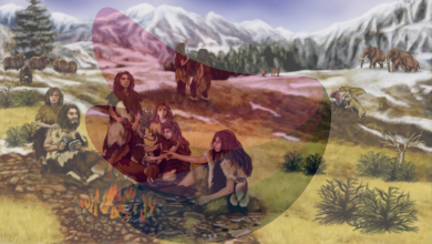 Neanderthals’ brains did not cause their extinction; new study points to surprising factors