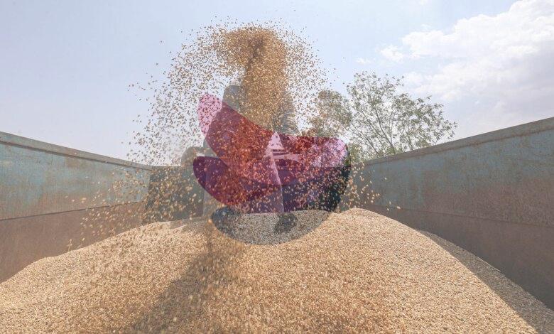 Traders begin wheat exports after four-year hiatus on bumper crop