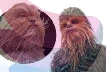 From Chewbacca the dog to Ed Sheeran the cat: Why pet lookalikes go viral