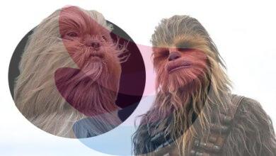 From Chewbacca the dog to Ed Sheeran the cat: Why pet lookalikes go viral