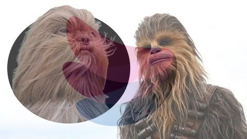 From Chewbacca the dog to Ed Sheeran the cat: Why pet lookalikes go viral