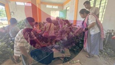 Roadside vendors turned exporters: Meghalaya’s ‘numbered’ farmers reap fruits of labour