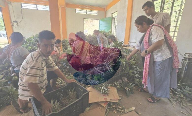 Roadside vendors turned exporters: Meghalaya’s ‘numbered’ farmers reap fruits of labour