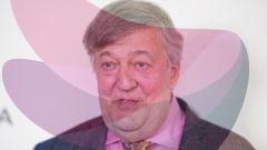 Stephen Fry sues tech conference for up to £100,000 after falling off stage