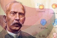 Charles Richet and his Nobel-winning work on severe allergic reactions